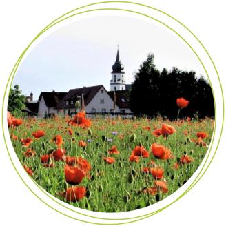 Besondere Orte ENTDECKEN - Gottesgarten - Region Obermain Jura