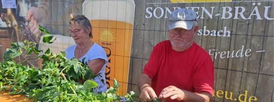 Wanderhighlight - 07.09.25 - Ins malerische Mürsbach zum Hopfen zupfen